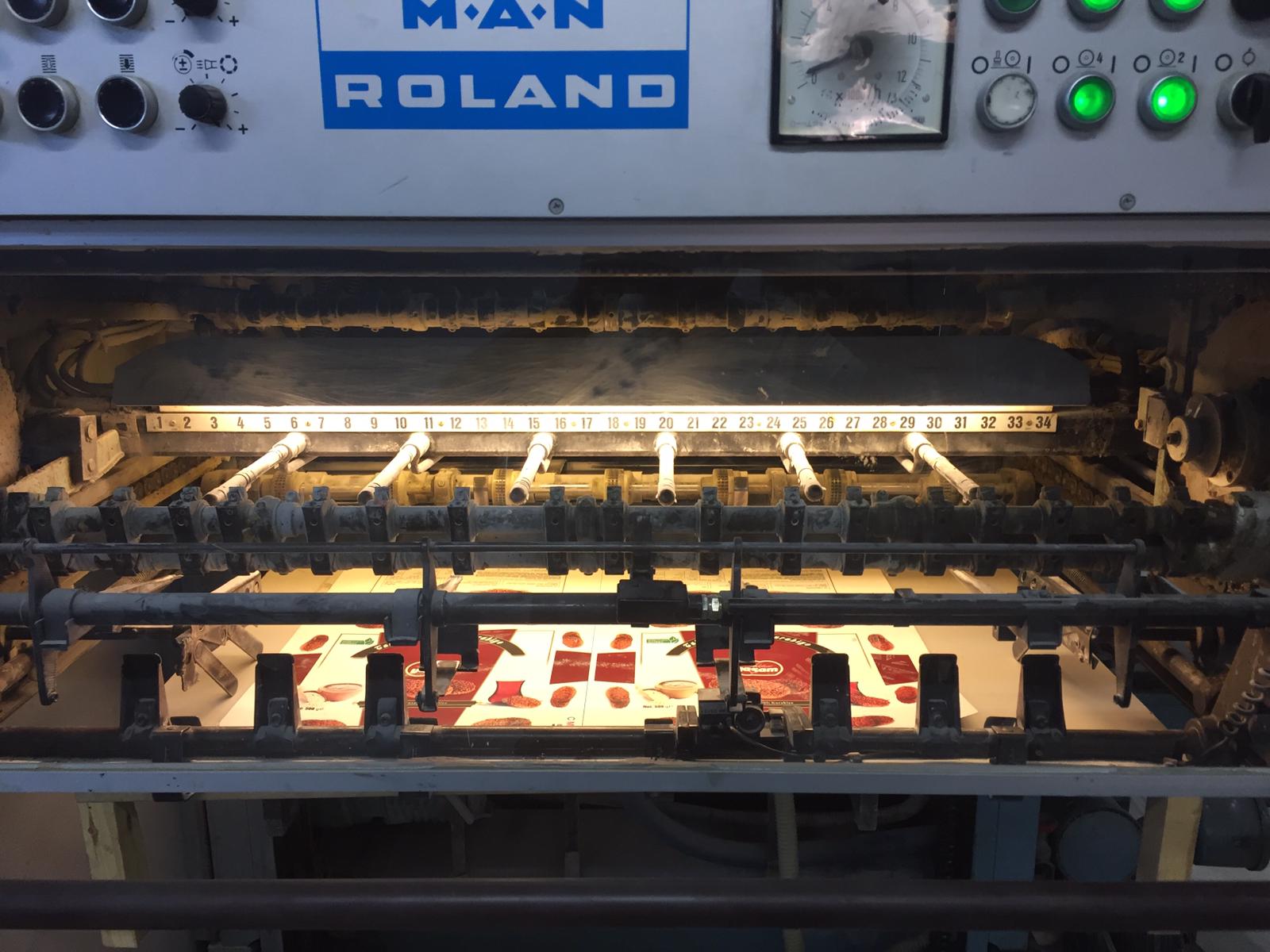 Roland Favorit 2 Renk